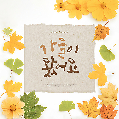 PSD 편집이미지 꽃 종이 단풍 낙엽 나뭇잎 프레임 사람없음 가을 디지털합성 은행잎 카피스페이스 편집소스 이미지편집 식물 계절 잎 공백 파일형식