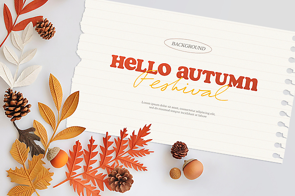 PSD 편집이미지 종이 단풍 낙엽 나뭇잎 프레임 사람없음 가을 디지털합성 도토리 솔방울 카피스페이스 편집소스 이미지편집 계절 잎 공백 견과류 파일형식