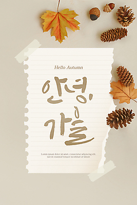 PSD 편집이미지 종이 단풍 낙엽 나뭇잎 프레임 사람없음 가을 디지털합성 솔방울 카피스페이스 편집소스 이미지편집 계절 잎 공백 파일형식