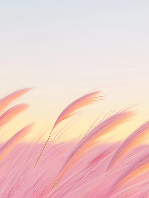 JPG 편집이미지 분홍색 하늘 풍경 사람없음 가을 디지털합성 감성 몽환 편집소스 핑크뮬리 편집실사 AI포토 AI콘텐츠 식물 계절 컬러 컨셉 CG 파일형식