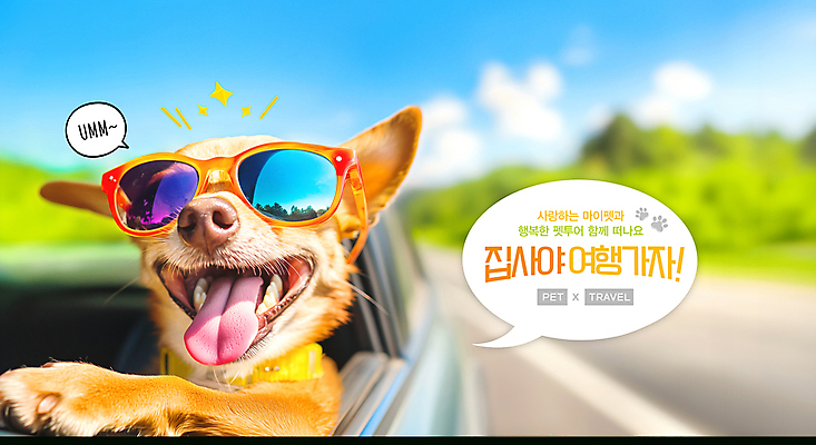 PSD 편집이미지 반려견 여행 말풍선 사람없음 선글라스 드라이브 최고 강아지 이미지편집 안경 반려동물 운전 개 파일형식