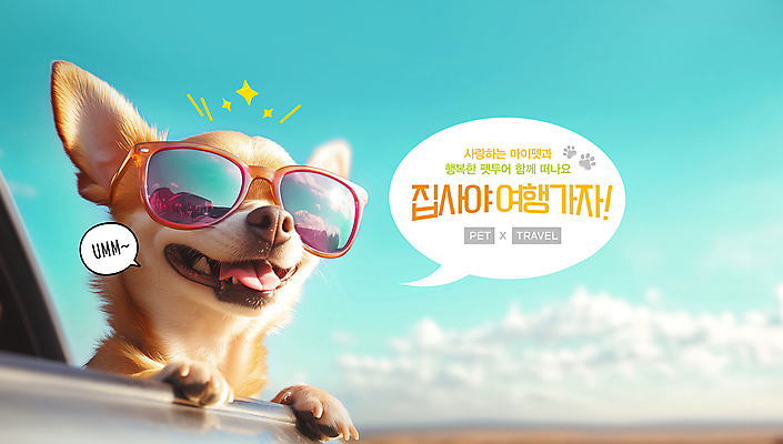 PSD 편집이미지 반려견 여행 말풍선 사람없음 선글라스 드라이브 최고 강아지 이미지편집 안경 반려동물 운전 개 파일형식