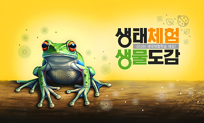 PSD 나무 편집이미지 자연 나뭇잎 생물 개구리 사람없음 환경 체험학습 체험 숲 친환경 생태계 자연학습 이미지편집 식물 컨셉 잎 양서류 파일형식