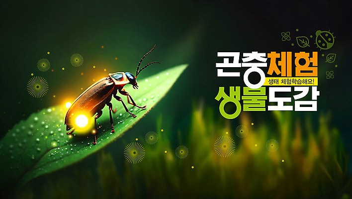 PSD 편집이미지 자연 나뭇잎 생물 사람없음 환경 체험학습 체험 숲 친환경 생태계 자연학습 반딧불이 이미지편집 곤충 컨셉 잎 파일형식