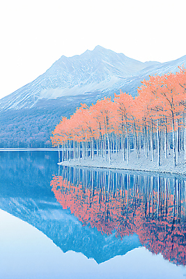 JPG 나무 호수 일러스트 색연필 산 사람없음 빨간색 파란색 반사 국내일러스트 AI일러스트 AI콘텐츠 식물 컬러 학용품 파일형식