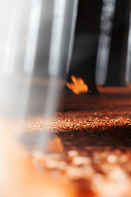 JPG 편집이미지 단풍 낙엽 단풍나무 바람 사람없음 빛 햇빛 갈색 가을 편집실사 AI포토 AI콘텐츠 자연요소 나무 계절 컬러 잎 날씨 태양 CG 파일형식