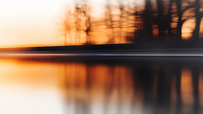 JPG 나무 편집이미지 낙엽 바람 사람없음 햇빛 갈색 가을 편집실사 AI포토 AI콘텐츠 자연요소 식물 계절 컬러 잎 날씨 태양 CG 파일형식