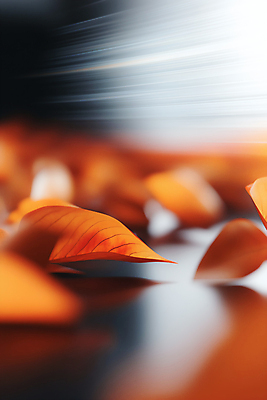 JPG 편집이미지 낙엽 바람 사람없음 빛 햇빛 갈색 가을 편집실사 AI포토 AI콘텐츠 자연요소 계절 컬러 잎 날씨 태양 CG 파일형식