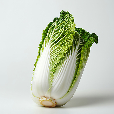 JPG 편집이미지 채소 재료 김치 사람없음 초록색 신선 배추 김장 김장재료 먹거리 편집실사 AI포토 AI콘텐츠 한식 음식 컬러 식재료 CG 파일형식