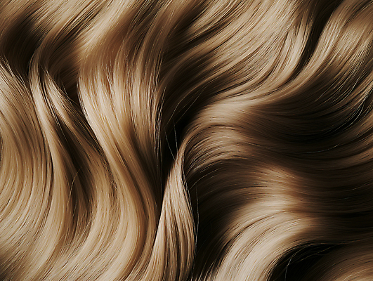 JPG 편집이미지 사람없음 빛 금발 갈색 머리카락 질감 웨이브 부드러움 편집실사 AI포토 AI콘텐츠 헤어스타일 컬러 머리 감각 CG 파일형식