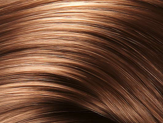 JPG 편집이미지 사람없음 빛 갈색 머리카락 질감 부드러움 편집실사 AI포토 AI콘텐츠 컬러 머리 감각 CG 파일형식