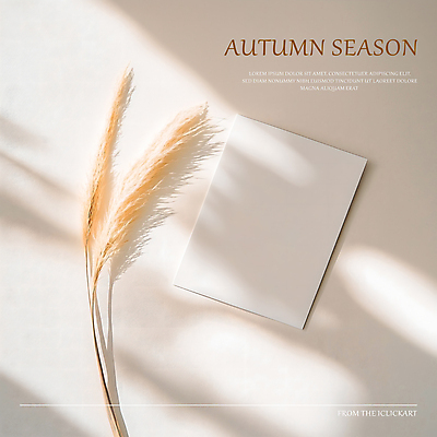 PSD 편집이미지 갈대 그림자 사람없음 햇빛 가을 감성 카피스페이스 이미지편집 카드프레임 식물 계절 컨셉 프레임 태양 공백 파일형식