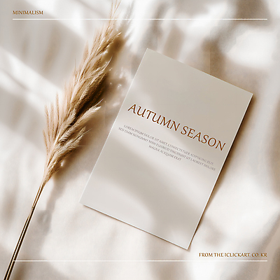 PSD 편집이미지 갈대 그림자 사람없음 햇빛 가을 메시지 감성 이미지편집 카드프레임 식물 계절 컨셉 프레임 태양 파일형식