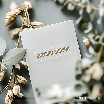 PSD 식물 편집이미지 사람없음 회색 가을 메시지 감성 이미지편집 계절 컬러 컨셉 파일형식