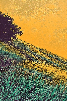 JPG 편집이미지 자연 초원 사람없음 노을 주황색 가을 언덕 편집실사 AI컴퓨터그래픽 AI콘텐츠 자연요소 계절 컬러 CG 생태계 파일형식