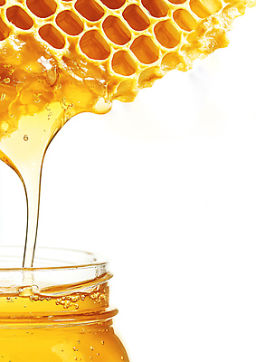 JPG 편집이미지 사람없음 달콤 벌집 꿀단지 벌꿀 편집실사 AI포토 AI콘텐츠 맛 CG 꿀 파일형식