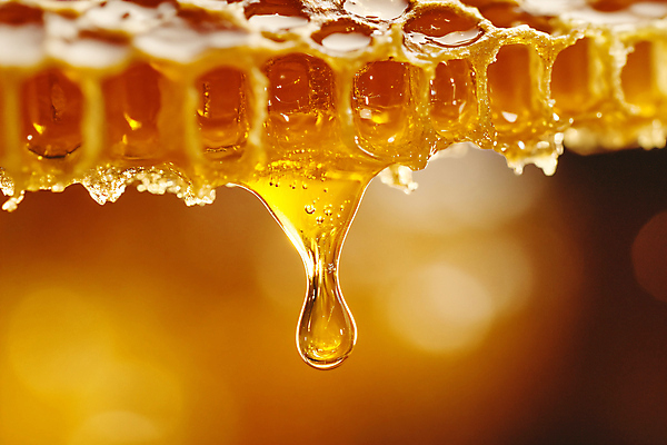 JPG 편집이미지 사람없음 달콤 벌집 벌꿀 편집실사 AI포토 AI콘텐츠 맛 CG 꿀 파일형식