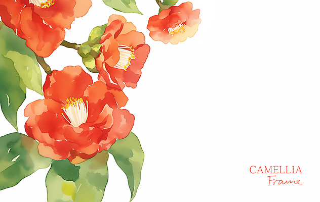 PSD 백그라운드 겨울 일러스트 수채화 프레임 사람없음 빨간색 풀잎 우아함 동백 카피스페이스 국내일러스트 계절 꽃 컬러 컨셉 잎 공백 풀_식물 파일형식