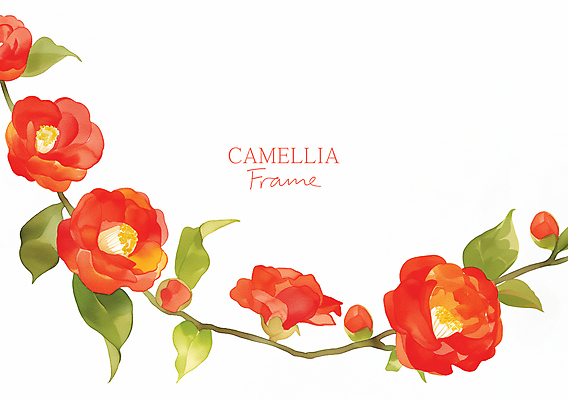 PSD 백그라운드 겨울 일러스트 수채화 프레임 사람없음 빨간색 풀잎 우아함 동백 카피스페이스 국내일러스트 계절 꽃 컬러 컨셉 잎 공백 풀_식물 파일형식
