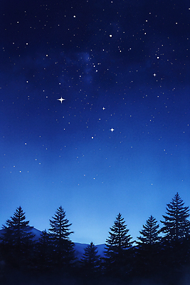JPG 나무 백그라운드 겨울 야경 일러스트 자연 밤하늘 수채화 산 사람없음 파란색 고요 숲 은하수 국내일러스트 AI일러스트 AI콘텐츠 식물 계절 컬러 하늘 야간 생태계 파일형식 풍경_경치