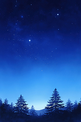 JPG 나무 백그라운드 겨울 야경 일러스트 자연 밤하늘 수채화 산 사람없음 파란색 고요 숲 은하수 국내일러스트 AI일러스트 AI콘텐츠 식물 계절 컬러 하늘 야간 생태계 파일형식 풍경_경치