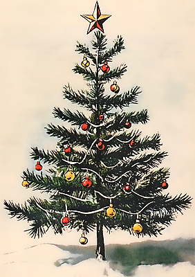 JPG 별 크리스마스 일러스트 수채화 사람없음 크리스마스트리 눈 빈티지 오너먼트 국내일러스트 AI일러스트 AI콘텐츠 카드프레임 자연요소 기념일 컨셉 크리스마스장식 날씨 프레임 파일형식