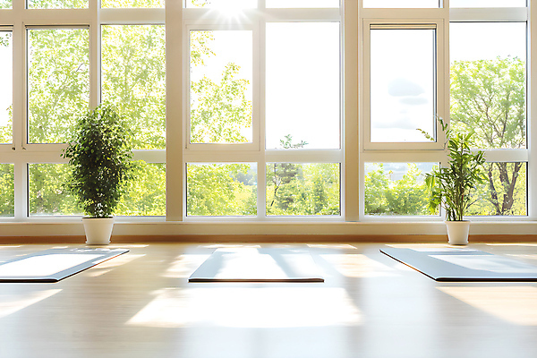 JPG 나무 편집이미지 화분 화초 요가 창문 실내 사람없음 햇빛 스트레칭 매트 체조 활기 맨손운동 편집실사 AI포토 AI콘텐츠 식물 웰빙 컨셉 내부 운동 태양 CG 파일형식