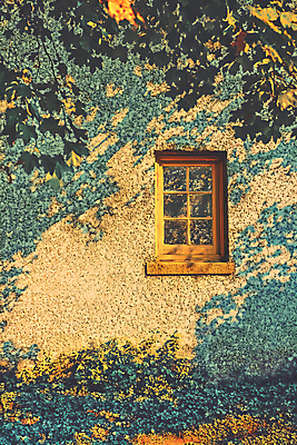 JPG 벽 일러스트 창문 나뭇잎 주택 그림자 사람없음 햇빛 노란색 풀잎 분위기 그늘 국내일러스트 AI일러스트 AI콘텐츠 컬러 컨셉 잎 건물 태양 풀_식물 파일형식