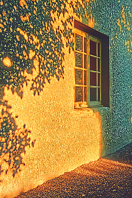 JPG 벽 일러스트 창문 나뭇잎 주택 그림자 사람없음 햇빛 노란색 풀잎 분위기 그늘 국내일러스트 AI일러스트 AI콘텐츠 컬러 컨셉 잎 건물 태양 풀_식물 파일형식