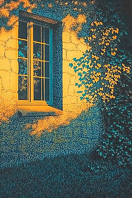JPG 벽 일러스트 창문 나뭇잎 주택 그림자 사람없음 햇빛 노란색 풀잎 분위기 그늘 국내일러스트 AI일러스트 AI콘텐츠 컬러 컨셉 잎 건물 태양 풀_식물 파일형식