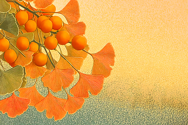 JPG 편집이미지 백그라운드 낙엽 나뭇잎 사람없음 주황색 가을 분위기 질감 은행잎 편집실사 AI컴퓨터그래픽 AI콘텐츠 계절 컬러 컨셉 잎 CG 파일형식