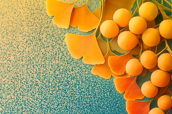 JPG 편집이미지 백그라운드 낙엽 나뭇잎 사람없음 주황색 가을 분위기 질감 은행잎 은행열매 편집실사 AI컴퓨터그래픽 AI콘텐츠 계절 열매 컬러 컨셉 잎 CG 파일형식