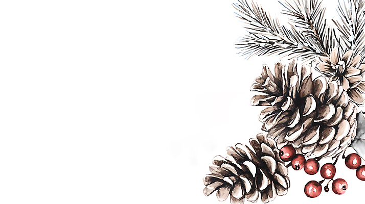 JPG 열매 크리스마스 일러스트 사람없음 장식 솔방울 솔잎 카피스페이스 국내일러스트 AI일러스트 AI콘텐츠 식물 기념일 잎 공백 파일형식