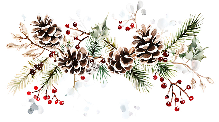 JPG 열매 크리스마스 일러스트 나뭇잎 사람없음 장식 솔방울 솔잎 국내일러스트 AI일러스트 AI콘텐츠 식물 기념일 잎 파일형식