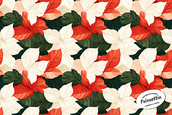 PSD 잎 크리스마스 꽃무늬 패턴 일러스트 사람없음 빨간색 초록색 포인세티아 국내일러스트 식물 기념일 꽃 컬러 무늬 파일형식