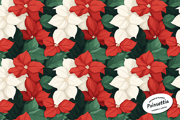 PSD 잎 크리스마스 꽃무늬 패턴 일러스트 사람없음 빨간색 초록색 포인세티아 국내일러스트 식물 기념일 꽃 컬러 무늬 파일형식