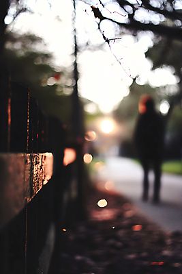 JPG 나무 편집이미지 실루엣 길 그림자 한명 사람 성인 어둠 나뭇가지 고독 주머니손 보케 사색 길가 성인한명만 편집실사 AI인물포토 AI콘텐츠 식물 1 감정 생각 모션 촬영기법 CG 성인만 파일형식 AI포토