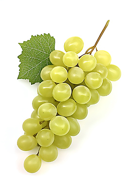 JPG 편집이미지 열매 사람없음 초록색 신선 포도잎 편집소스 망고포도 편집실사 AI포토 AI콘텐츠 식물 컬러 잎 포도 CG 청포도 파일형식