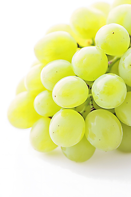 JPG 편집이미지 열매 사람없음 초록색 빛 신선 편집소스 망고포도 편집실사 AI포토 AI콘텐츠 식물 컬러 CG 청포도 파일형식