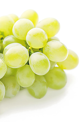 JPG 편집이미지 열매 사람없음 초록색 신선 편집소스 망고포도 편집실사 AI포토 AI콘텐츠 식물 컬러 CG 청포도 파일형식