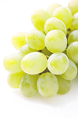 JPG 편집이미지 열매 사람없음 초록색 신선 편집소스 망고포도 편집실사 AI포토 AI콘텐츠 식물 컬러 CG 청포도 파일형식