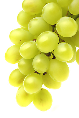 JPG 무료이미지 편집이미지 열매 사람없음 초록색 신선 편집소스 망고포도 편집실사 AI포토 AI콘텐츠 식물 컬러 CG 청포도 파일형식