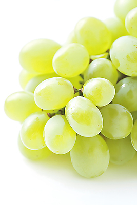 JPG 편집이미지 열매 사람없음 초록색 신선 차가움 편집소스 망고포도 편집실사 AI포토 AI콘텐츠 식물 컬러 CG 청포도 파일형식