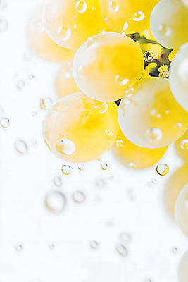 JPG 편집이미지 열매 사람없음 물 노란색 물방울 신선 편집소스 망고포도 편집실사 AI포토 AI콘텐츠 자연요소 식물 컬러 CG 청포도 파일형식