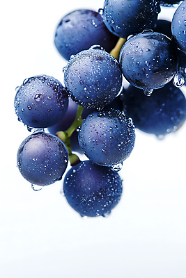 JPG 편집이미지 열매 포도 사람없음 물 보라색 물방울 신선 편집실사 AI포토 AI콘텐츠 자연요소 식물 컬러 과일 CG 파일형식