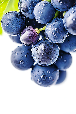 JPG 편집이미지 열매 포도 사람없음 물 보라색 물방울 신선 포도잎 편집실사 AI포토 AI콘텐츠 자연요소 식물 컬러 잎 과일 CG 파일형식