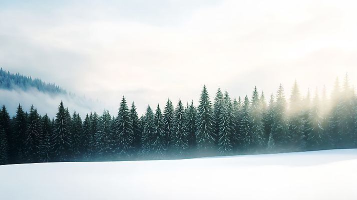 JPG 나무 구름 편집이미지 겨울 자연 풍경 사람없음 초록색 안개 눈 숲 숲길 상록수 쌓인눈 눈덮임 편집실사 AI포토 AI콘텐츠 자연요소 식물 계절 길 컬러 컨셉 날씨 CG 생태계 파일형식