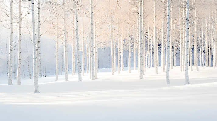 JPG 편집이미지 겨울 자연 풍경 사람없음 흰색 눈 숲길 자작나무 흐림 쌓인눈 자작나무숲 눈덮임 편집실사 AI포토 AI콘텐츠 자연요소 나무 계절 길 컬러 컨셉 날씨 숲 CG 생태계 파일형식