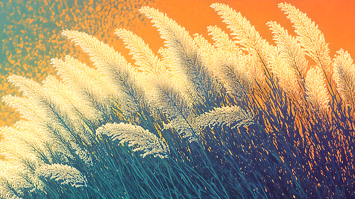 JPG 편집이미지 자연 붓터치 수채화 갈대 사람없음 편집실사 식물 CG 생태계 파일형식