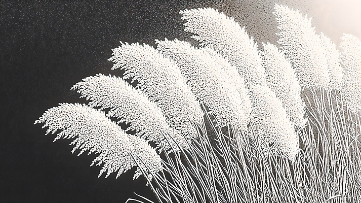 JPG 편집이미지 자연 붓터치 수채화 갈대 사람없음 흰색 편집실사 식물 컬러 CG 생태계 파일형식